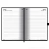 Agenda giornaliera 2025 Harry Potter cm 14,5x21,5
