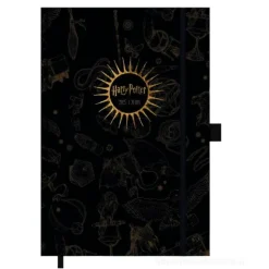 Agenda giornaliera 2025 Harry Potter cm 14,5x21,5