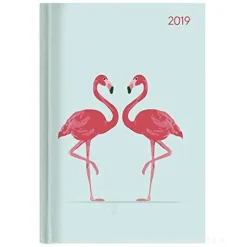 Agenda 2019 giornaliera 12 mesi Ladytimer Style Flamingos