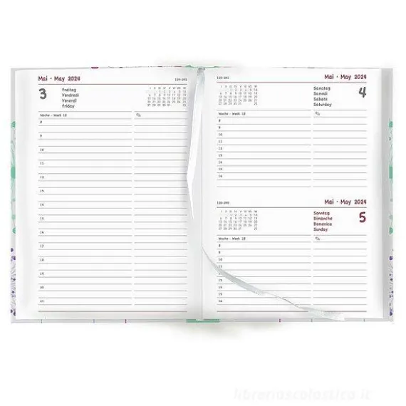 Agenda 12 mesi giornaliera 2023/2024 Collegetimer Blowballs cm 10x15