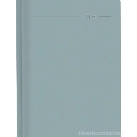 Agenda 12 mesi giornaliera 2024 352 pagine Sydney Silver cm 10,7x15,2