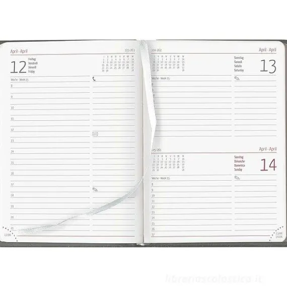 Agenda 12 mesi giornaliera 2024 352 pagine Sydney Silver cm 10,7x15,2