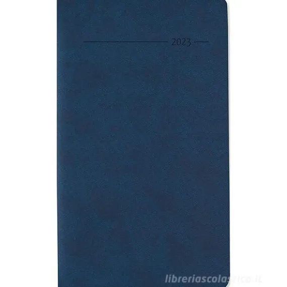 Agenda 12 mesi giornaliera 2023 128 pagine Tucson Blue