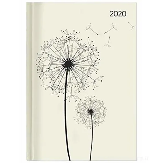 Agenda 12 mesi giornaliera 2020 Style Blowballs