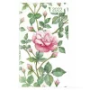 Agenda 12 mesi settimanale 2022 Ladytimer Slim Roses