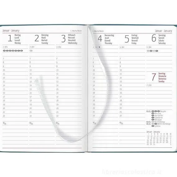 Agenda 12 mesi settimanale 2024 Ladytimer Deluxe Sky cm 10,7x15,2