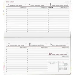 Agenda 12 mesi settimanale 2024 Ladytimer Pad Flower Field cm 15,6x9
