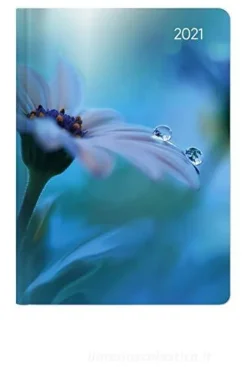 Agenda 12 mesi settimanale 2021 Ladytimer Midi Waterdrops