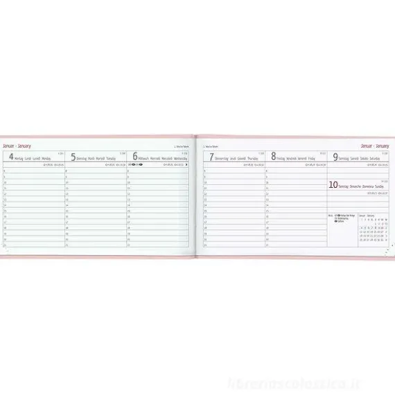 Agenda 12 mesi settimanale 2024 Ladytimer To Go Deluxe Salmon cm 15,3x8,7