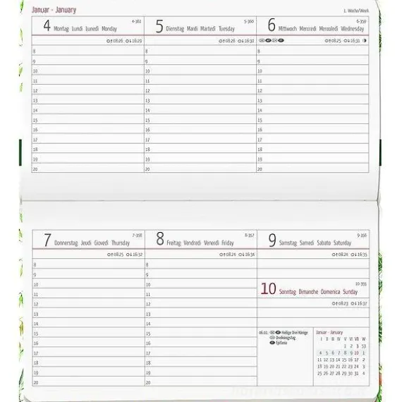 Agenda 12 mesi settimanale 2024 Ladytimer Pad Butterflies cm 15,6x9