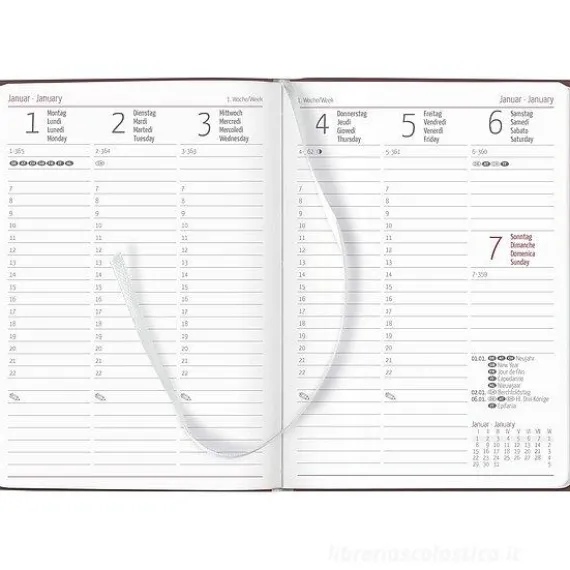 Agenda 12 mesi settimanale 2024 Ladytimer Deluxe Salmon cm 10,7x15,2
