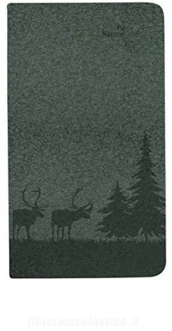 Agenda 12 mesi tascabile settimanale 2021 Nature Line Pine