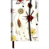 Agenda settimanale 2025 Magneto Diary Dan Bennett cm 10x15
