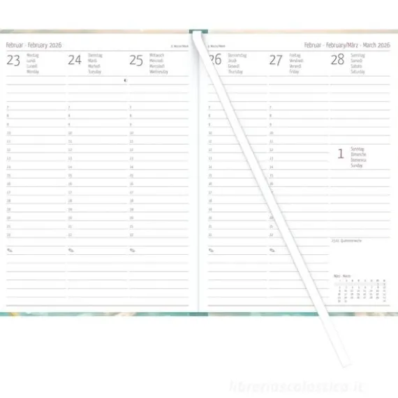 Agenda settimanale 17 mesi 2025/2026 Campustimer Blowballs cm 15x21