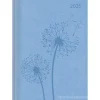 Agenda settimanale 12 mesi 2025 Ladytimer Deluxe Sky