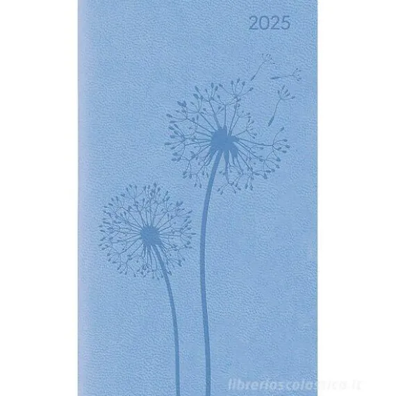 Agenda settimanale 12 mesi 2025 Ladytimer Slim Deluxe Sky