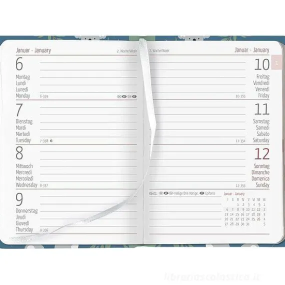 Agenda settimanale 12 mesi 2025 Ladytimer Mini Koala