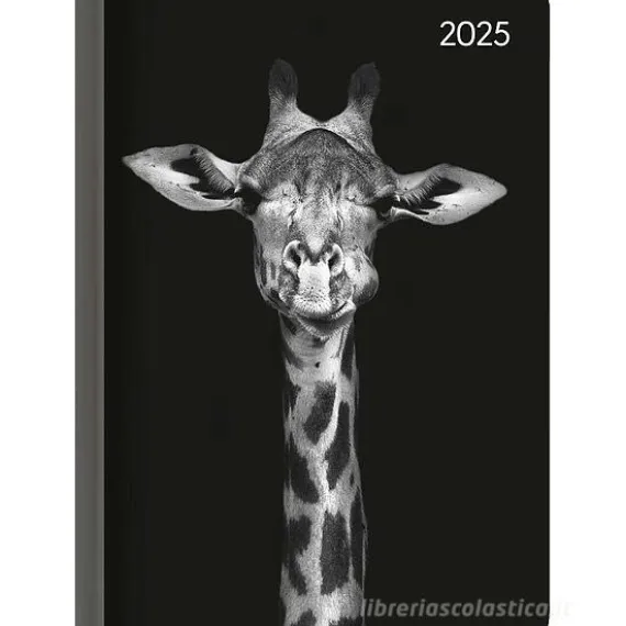 Agenda settimanale 12 mesi 2025 Lady Journal Midi Wildlife Art
