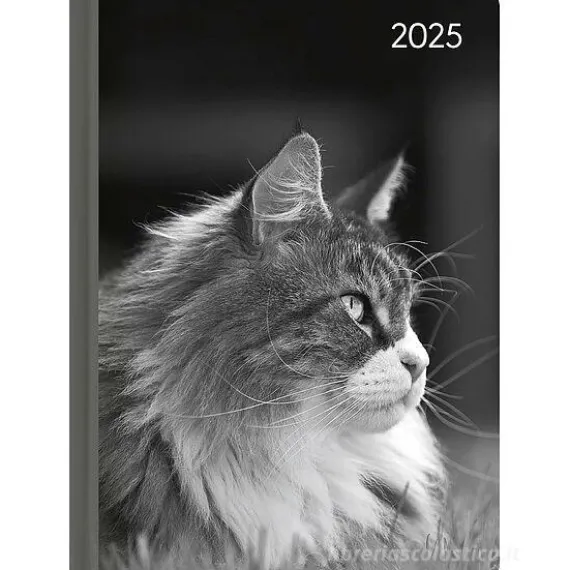 Agenda settimanale 12 mesi 2025 Lady Journal Cat