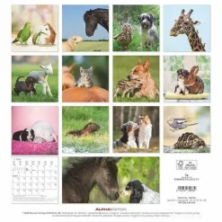 Calendario 2025 Animal Friendship cm 30x30