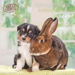 Calendario 2025 Animal Friendship cm 30x30