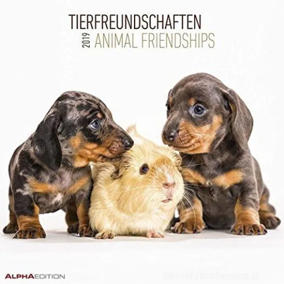 Calendario 2019 Animal Friendship 30x30 cm