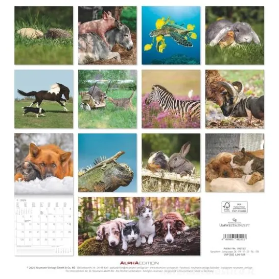 Calendario 2026 Animal Friendship cm 30x30