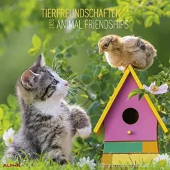 Calendario 2020 Animal Friendship 30x30 cm