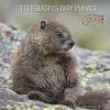 Calendario 2025 Baby Animals cm 30x30
