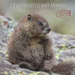 Calendario 2025 Baby Animals cm 30x30