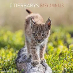 Calendario 2023 Baby Animals 30x30