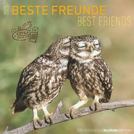 Calendario 2025 Best Friends cm 30x30