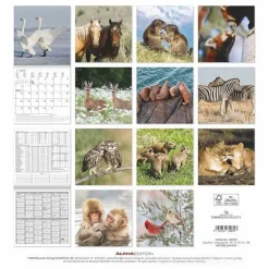 Calendario 2025 Best Friends cm 30x30