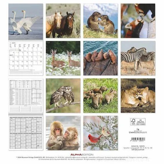 Calendario 2025 Best Friends cm 30x30