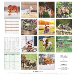 Calendario 2026 Best Friends cm 30x30