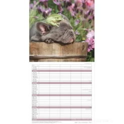 Calendario 2026 Best Friends cm 30x30