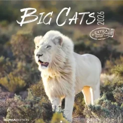 Calendario 2026 Big Cats cm 30x30