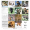 Calendario 2025 Big Cats cm 30x30