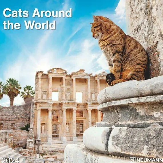 Calendario 2024 Cats Around the World cm 30x30