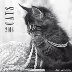 Calendario 2016 Cats By Sabine Rath