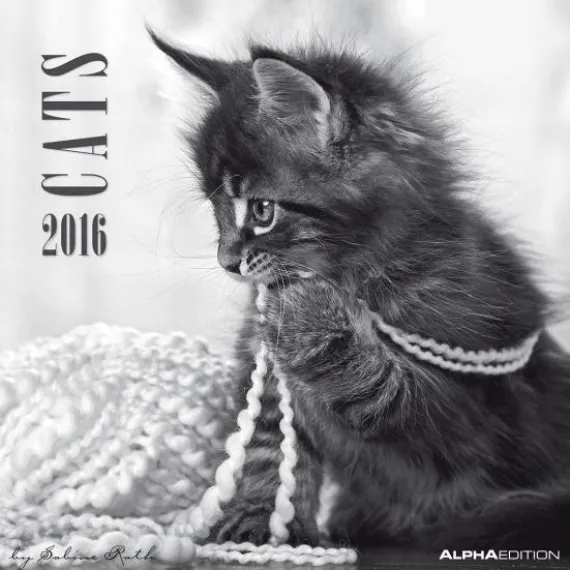Calendario 2016 Cats By Sabine Rath