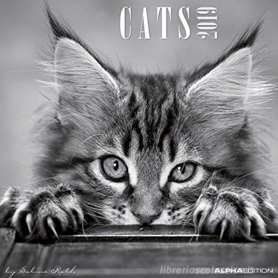 Calendario 2019 Cats by Sabine Rath 30x30 cm