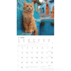 Calendario 2026 Cats cm 30x30
