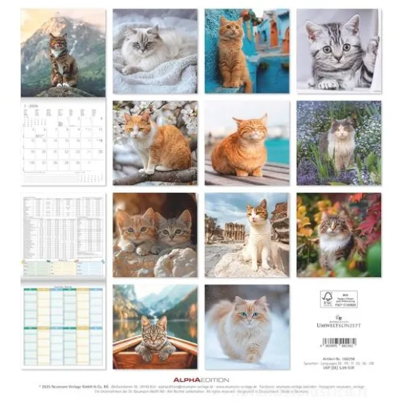 Calendario 2026 Cats cm 30x30