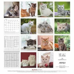 Calendario 2025 Cats cm 30x30