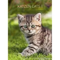 Calendario 2022 Cats 23,7x34