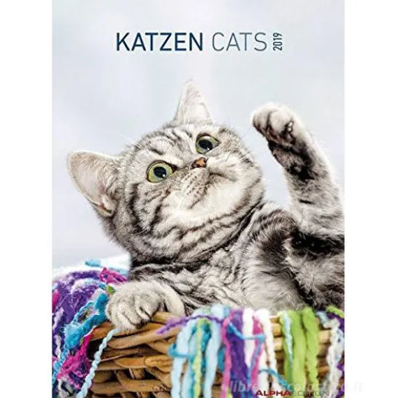 Calendario 2019 Cats 24x34 cm