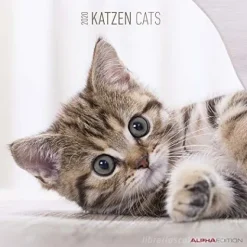 Calendario 2020 Cats 30x30 cm