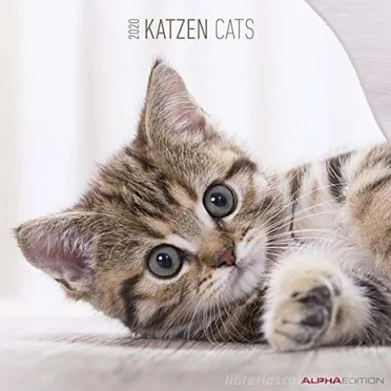 Calendario 2020 Cats 30x30 cm