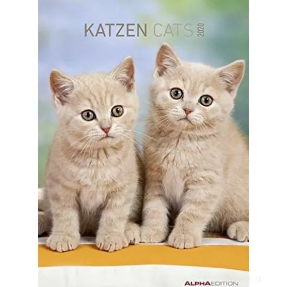 Calendario 2020 Cats 23,7x34 cm